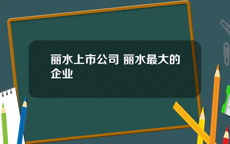 丽水上市公司 丽水最大的企业